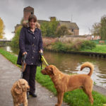 Trent and Mersey Canal, Middleport - Oct 2017 - Jenny and her dogs